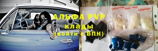 мяу мяу кристалл Гусь-Хрустальный