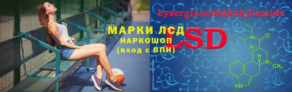 индика Чекалин