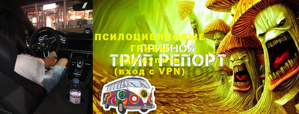 мяу мяу кристалл Гусь-Хрустальный